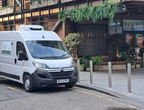 How to Find a Reliable Express Courier for Perishable Deliveries